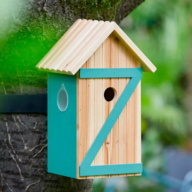 Nest box with solar-powered camera